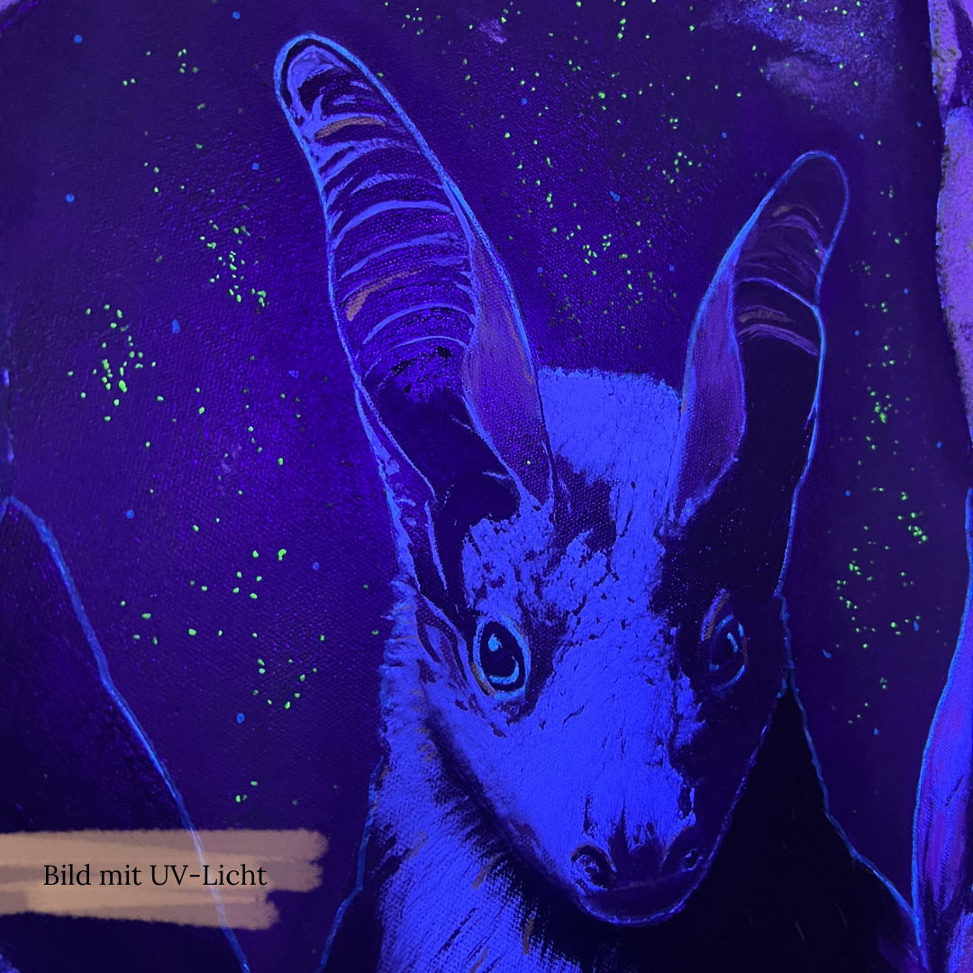 Navigation Navigation