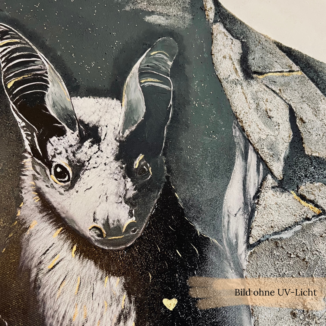 Navigation Navigation